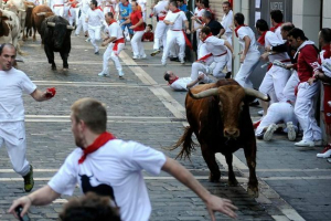 U španiji, čovekov pokušaj da se samoubicu sa bikom postao smrtonosan U španiji, čovekov pokušaj da se samoubicu sa bikom postao smrtonosan